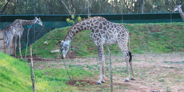 rencontre temara