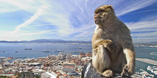 http://www.lnt.ma/wp-content/uploads/2012/11/Gibraltar2.jpg