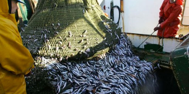 Peche3