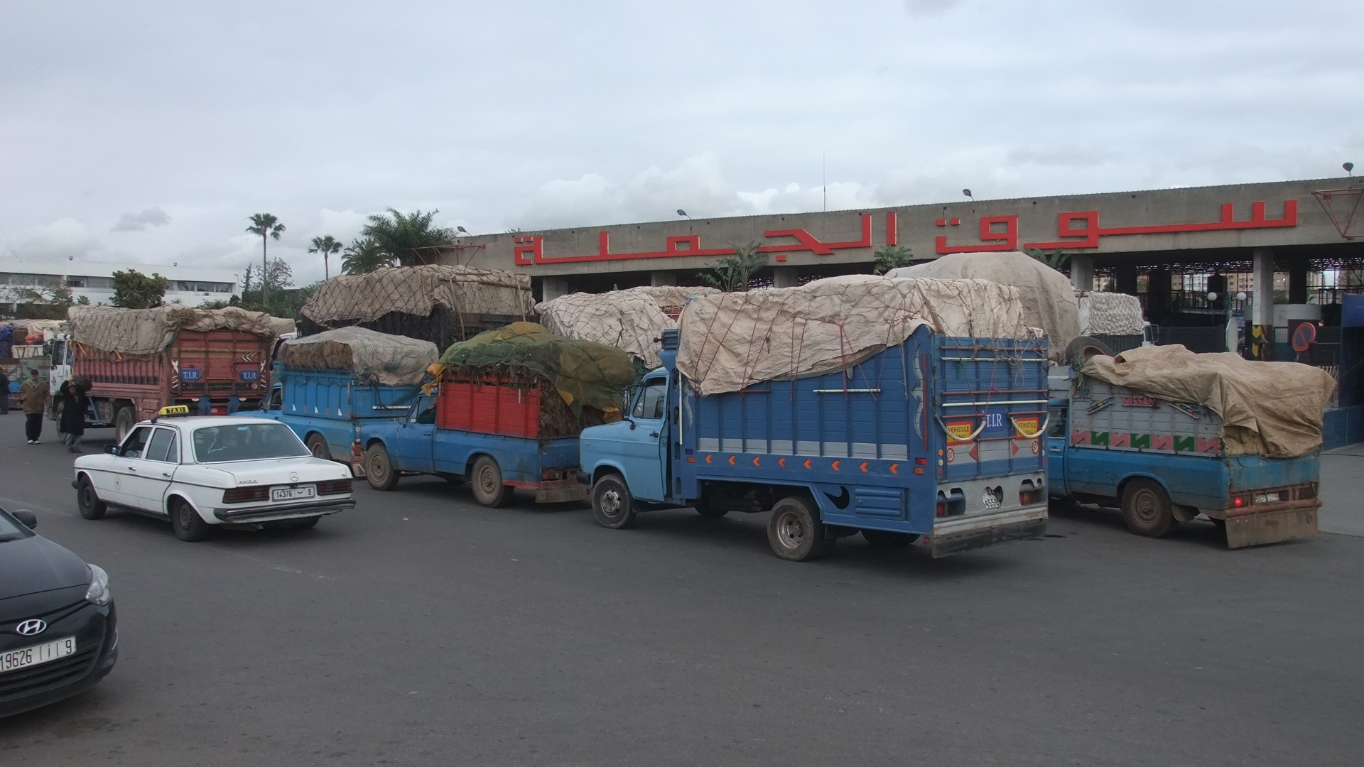 marché-de-gros-casablanca