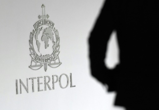 logo-interpol