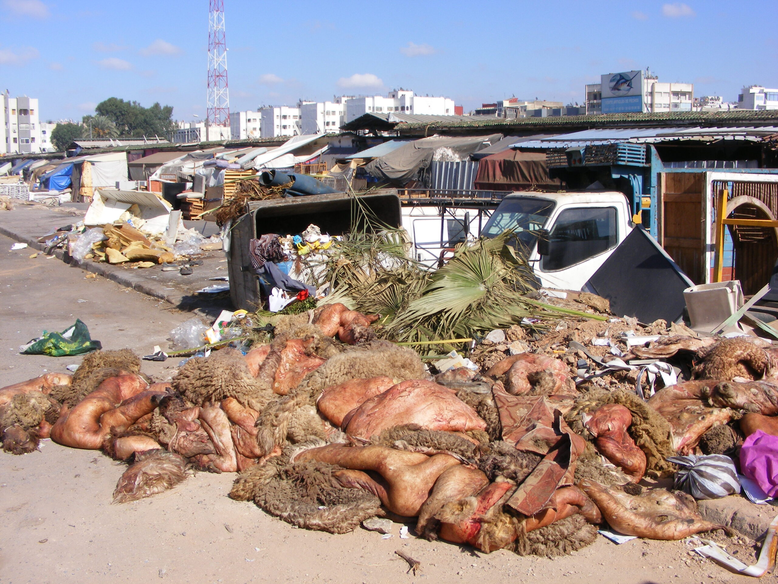 les lendemains de l’Aïd El Adha