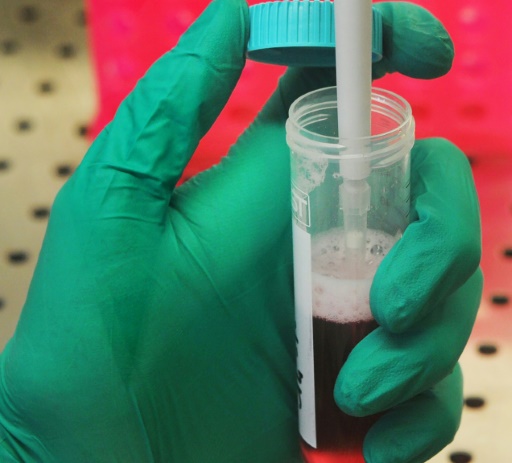 Le Conseil national consultatif pour la biosécurité (CNCB) met en garde contre un risque de détournement de la biologie de synthèse