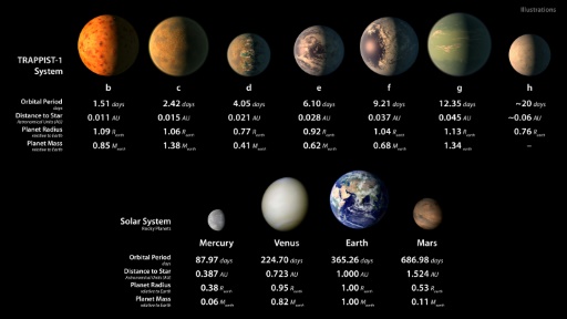 Représentation des sept planètes découvertes en orbite autour