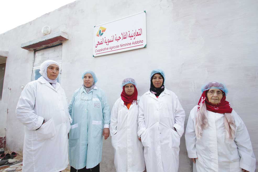 coopérative-addoha-bir-jdid