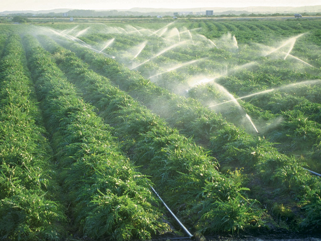 agriculture1