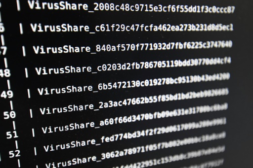 Le piratage informatique
