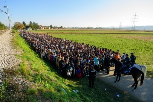 migrants