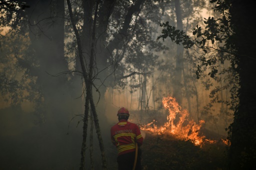 Incendies au portugal
