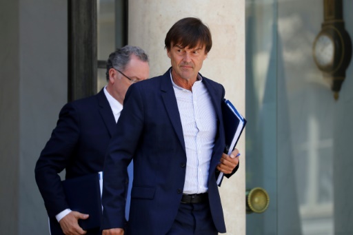 Le ministre de la Transition écologique Nicolas Hulot, le 14 juin 2017 à la sortie de l’Elysée à Paris