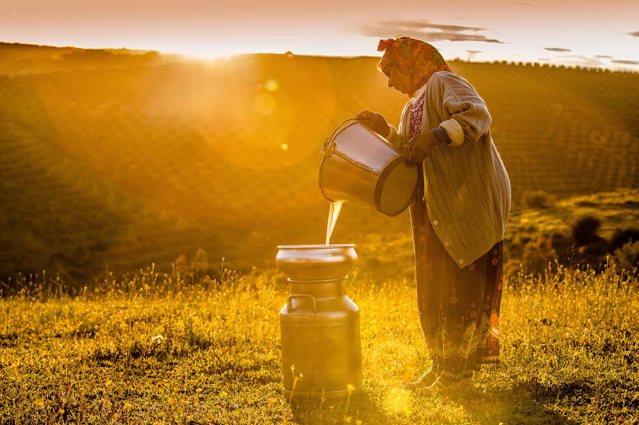 campagne Centrale hlib bladi