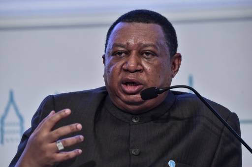 Le secrétaire général de l’Opep Mohammed Barkindo