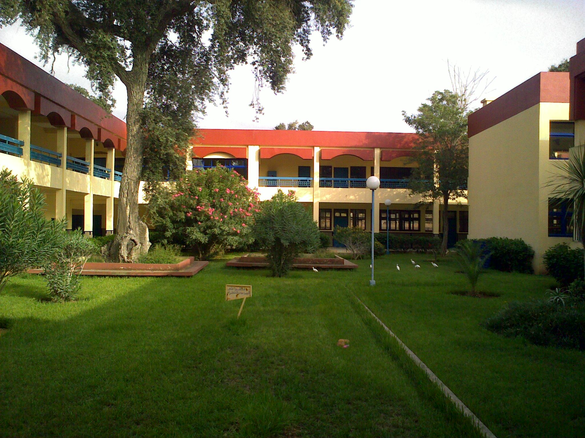 uit-kenitra