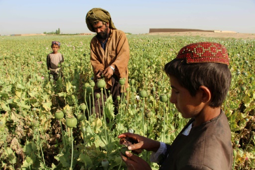 agriculteur-afghan