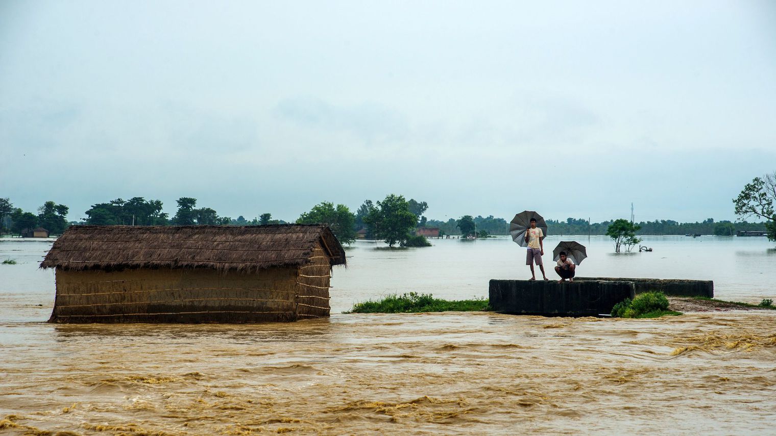 des-nepalais-dans-la-region-de-birgunj-parsa-au-sud-de-katmandou-le-13-aout-2017_5929386