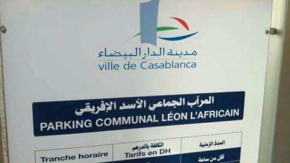 parking-lion-africain