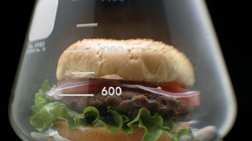 lab-burger