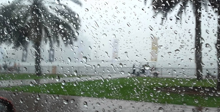 Pluie