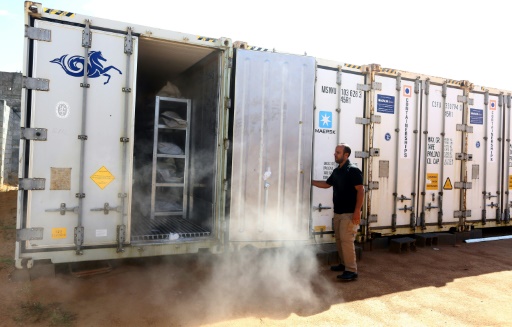 conteneurs frigorifiques-libye