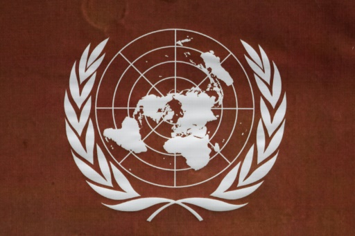 Etats-Unis et Russie ont transmis à leurs partenaires du Conseil de sécurité