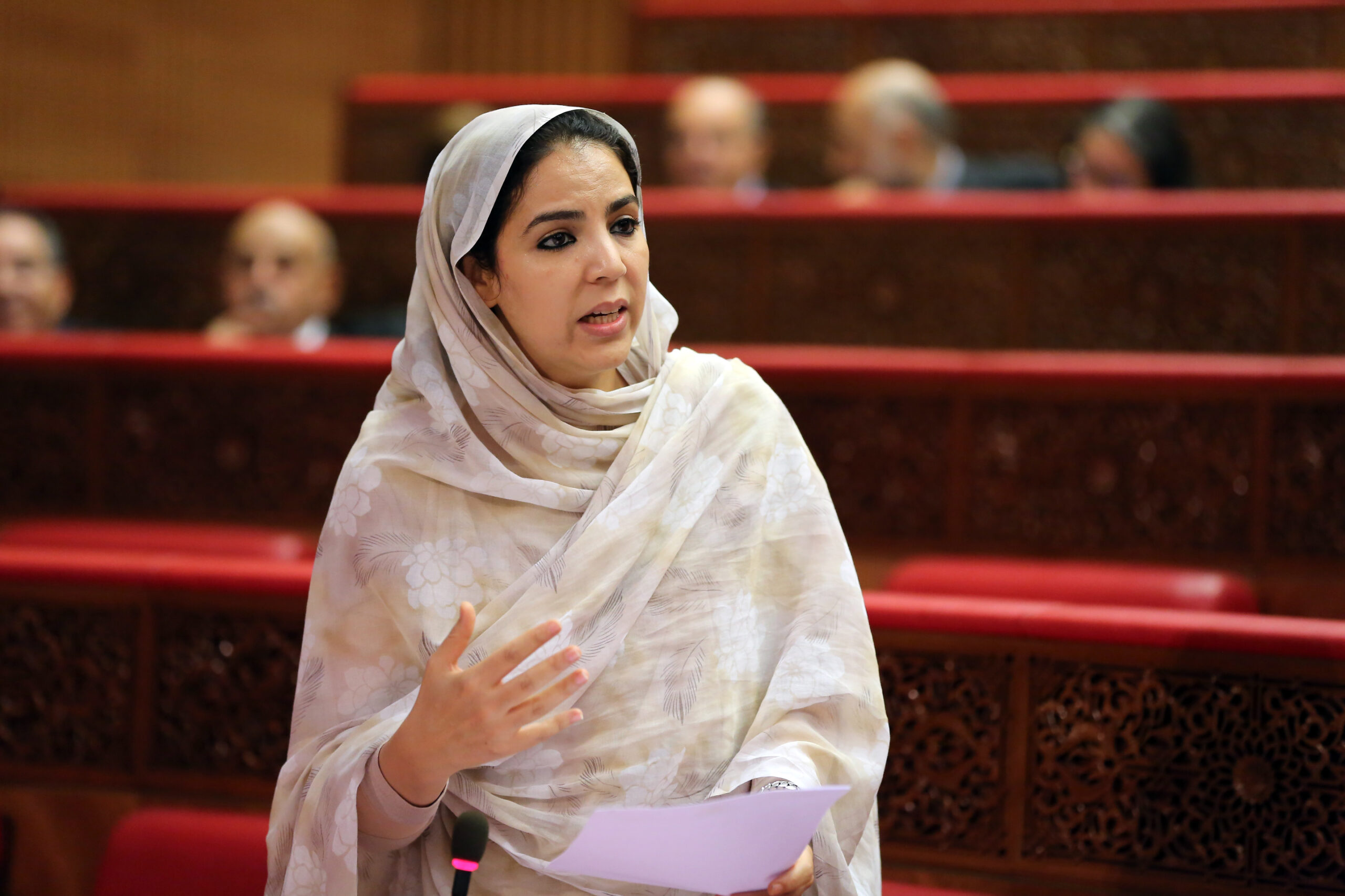 Chambre des conseillers : Mme Derham répond aux questions orales