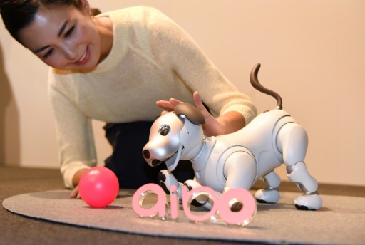 Présentation du nouveau chien robot Aibo par Sony à Tokyo