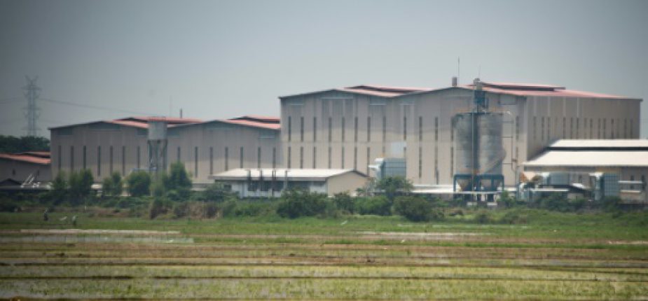 Des rizières entourent une usine de fabrication de produits à base d'amiante à Cikarang, dans la province de Java-Ouest, le 24 octobre 2017 en Indonésie © AFP/Archives BAY ISMOYO