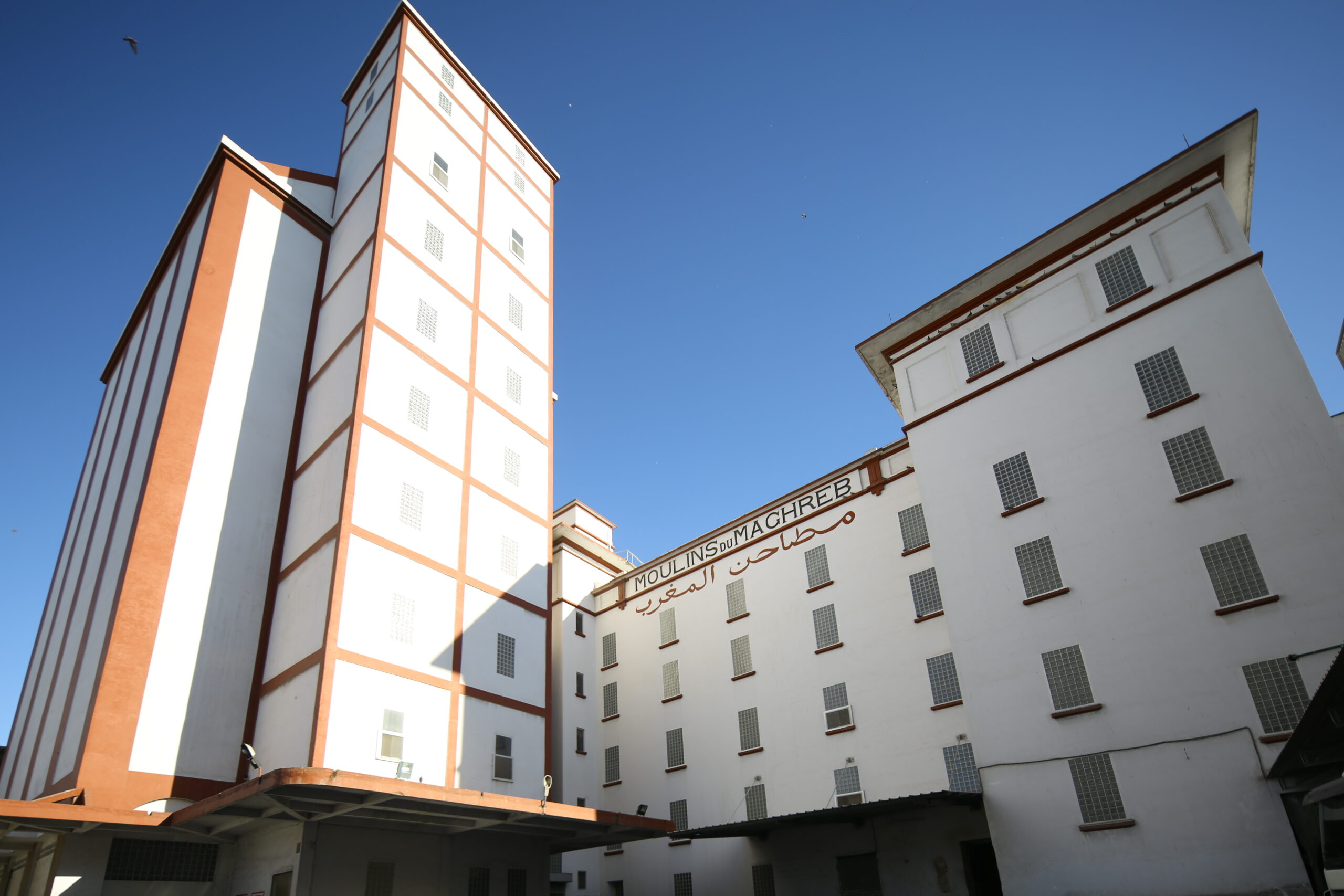 Société Nouvelle des Moulins du Maghreb