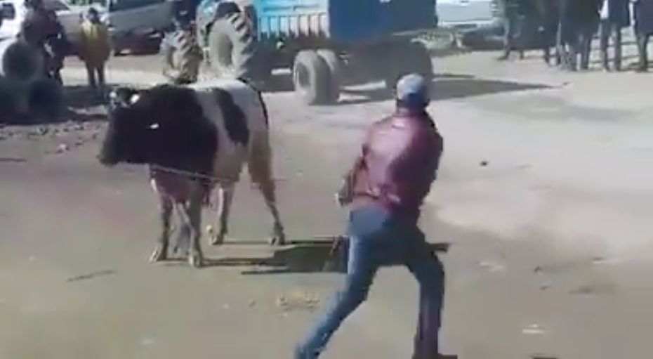 Capture d’écran 2018-02-19 à 12.09.27