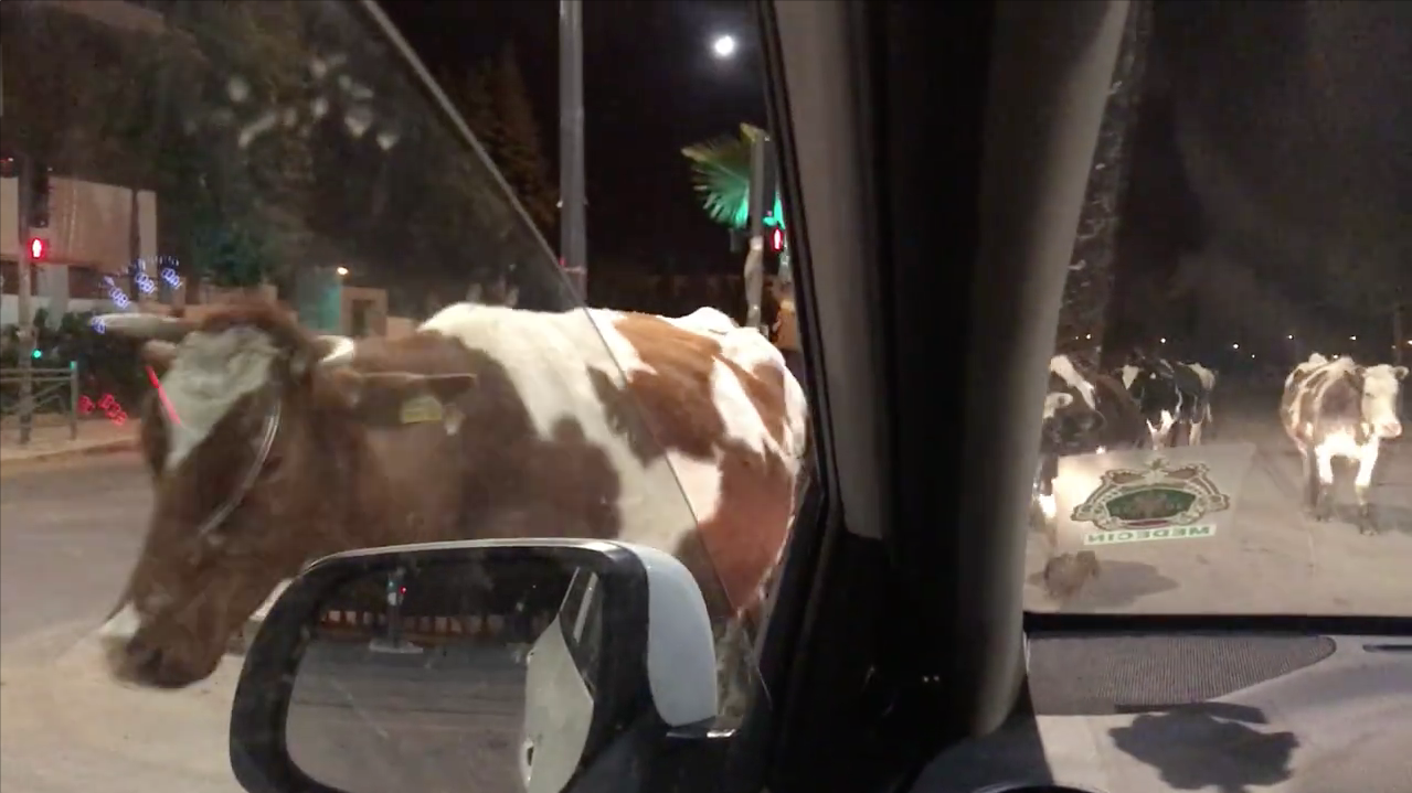 Capture d’écran 2018-03-26 à 15.31.56