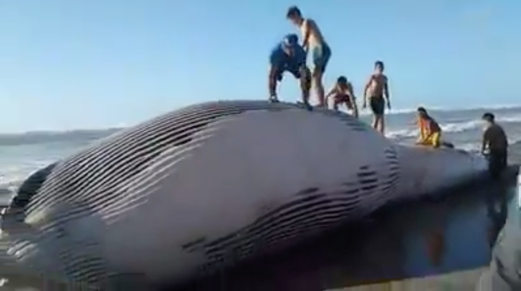 Capture d’écran 2018-04-10 à 11.32.58