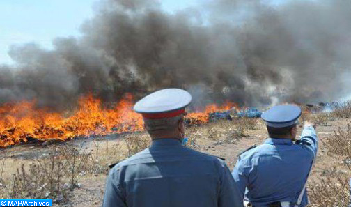 incinération-drogues-504×297-copier