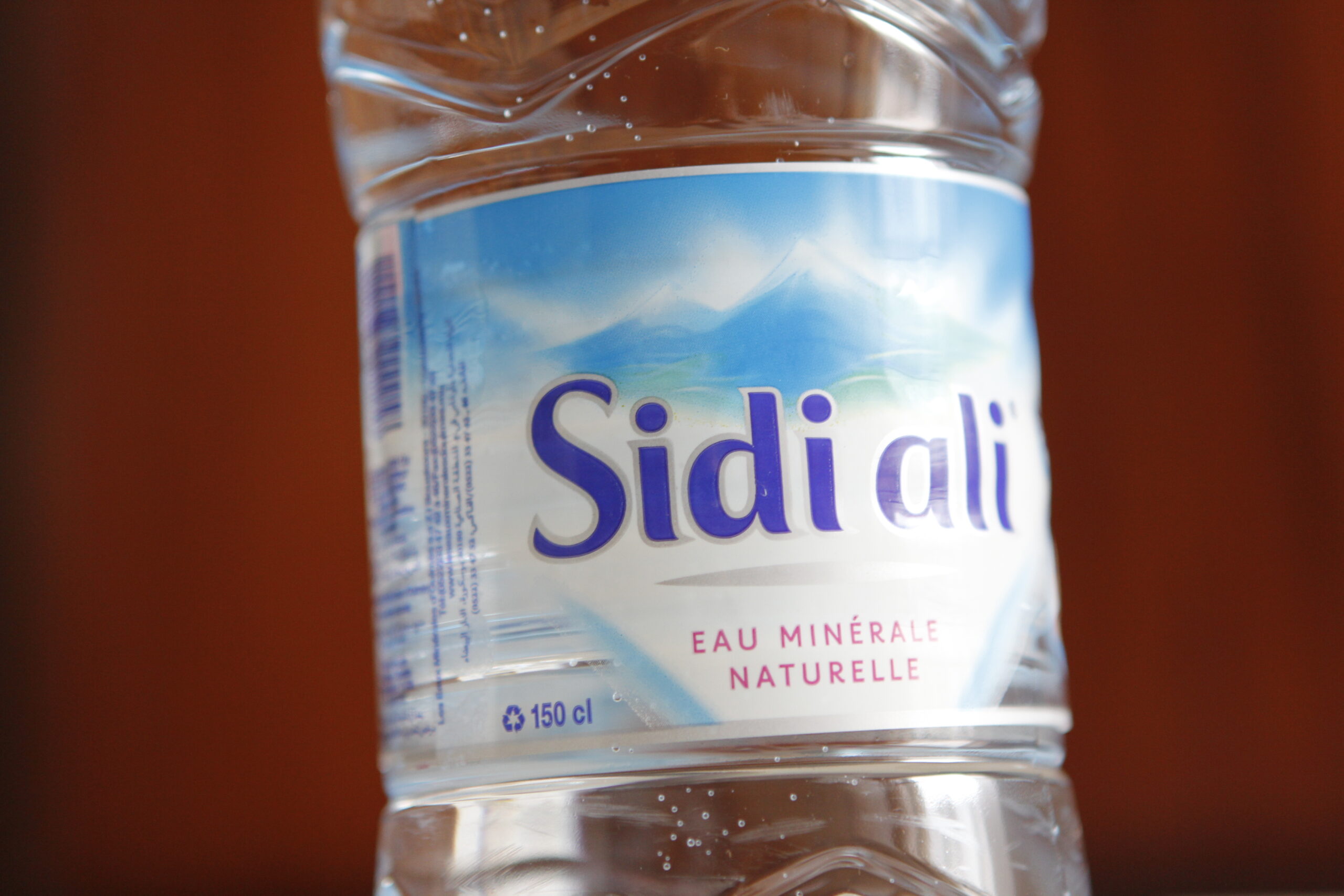Sidi Ali