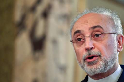 Ali Akbar Salehi