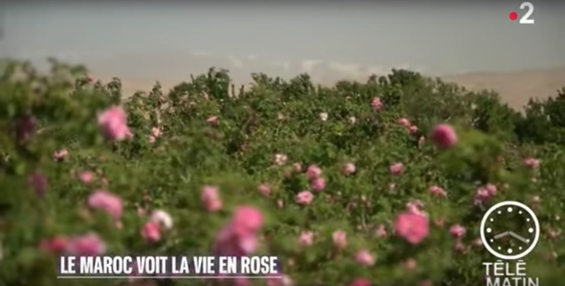 Capture d’écran 2018-06-08 à 13.53.33