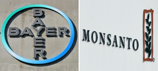 bayer-monsanto