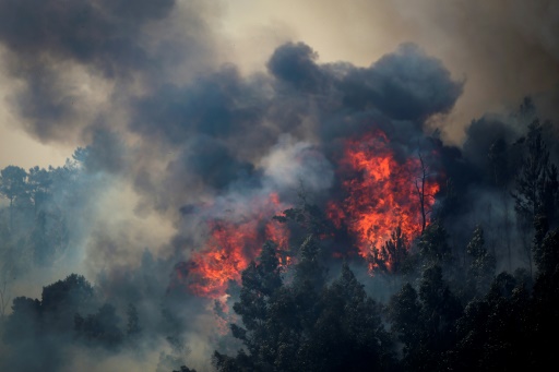 incendie-portugal