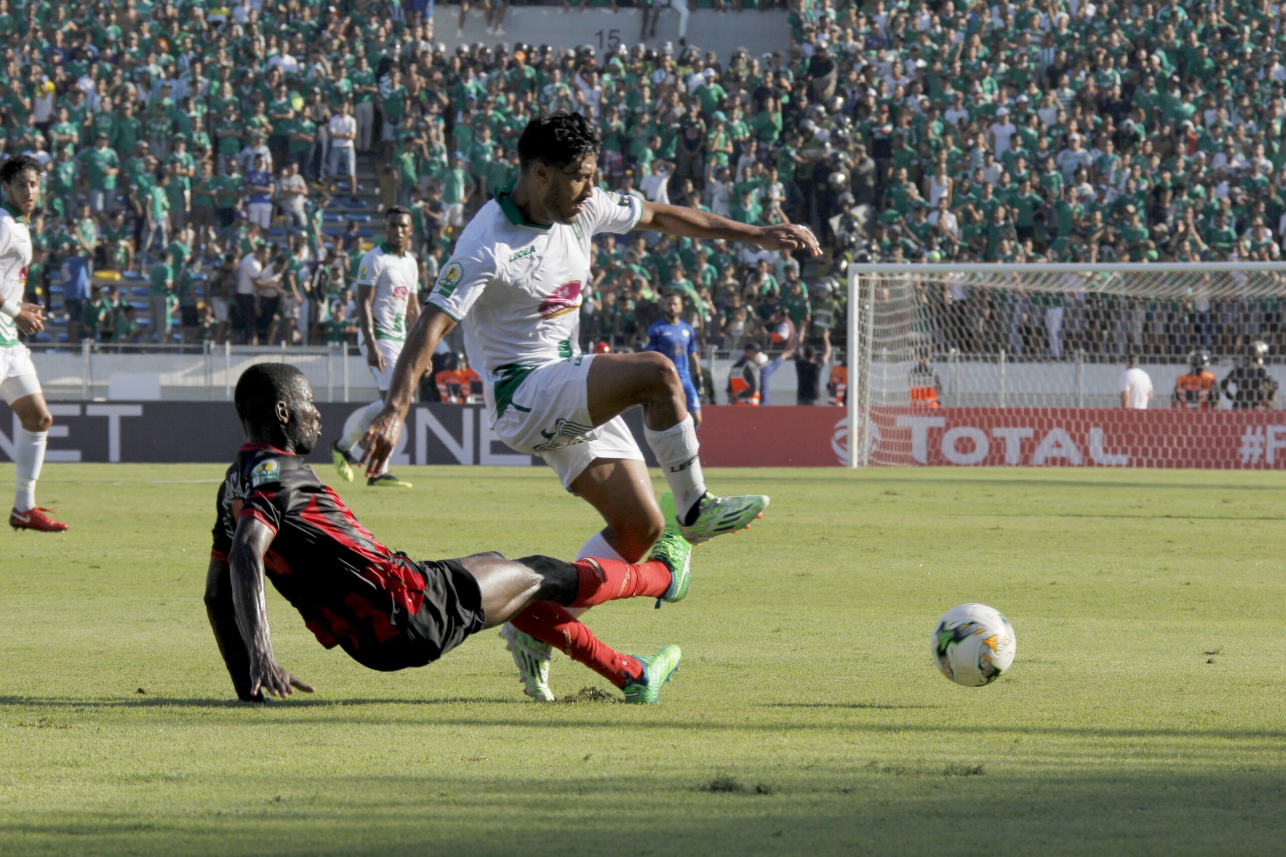 Raja /  Cara brazzaville