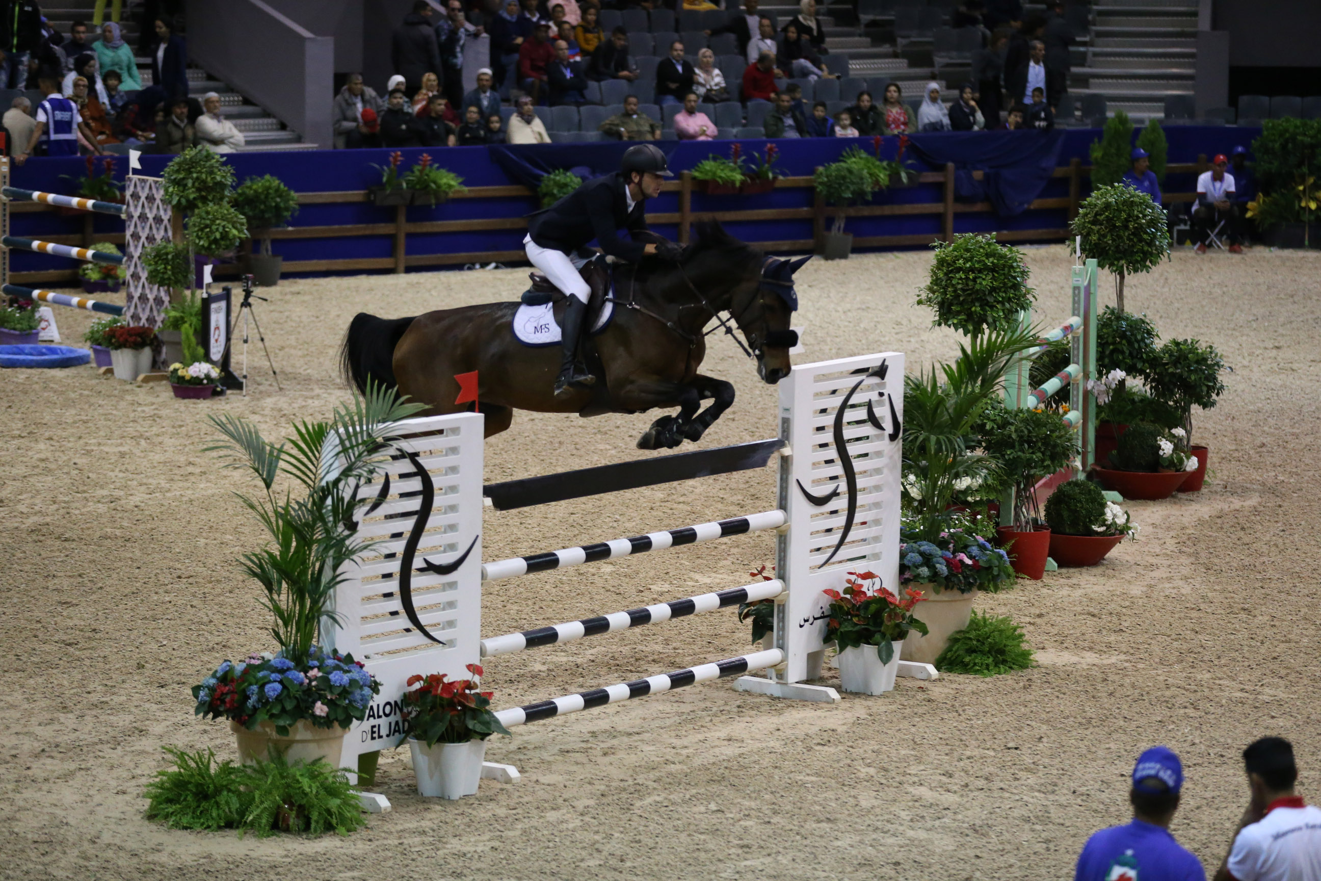 Salon Du Cheval D El Jadida Objectifs Atteints Selon Les