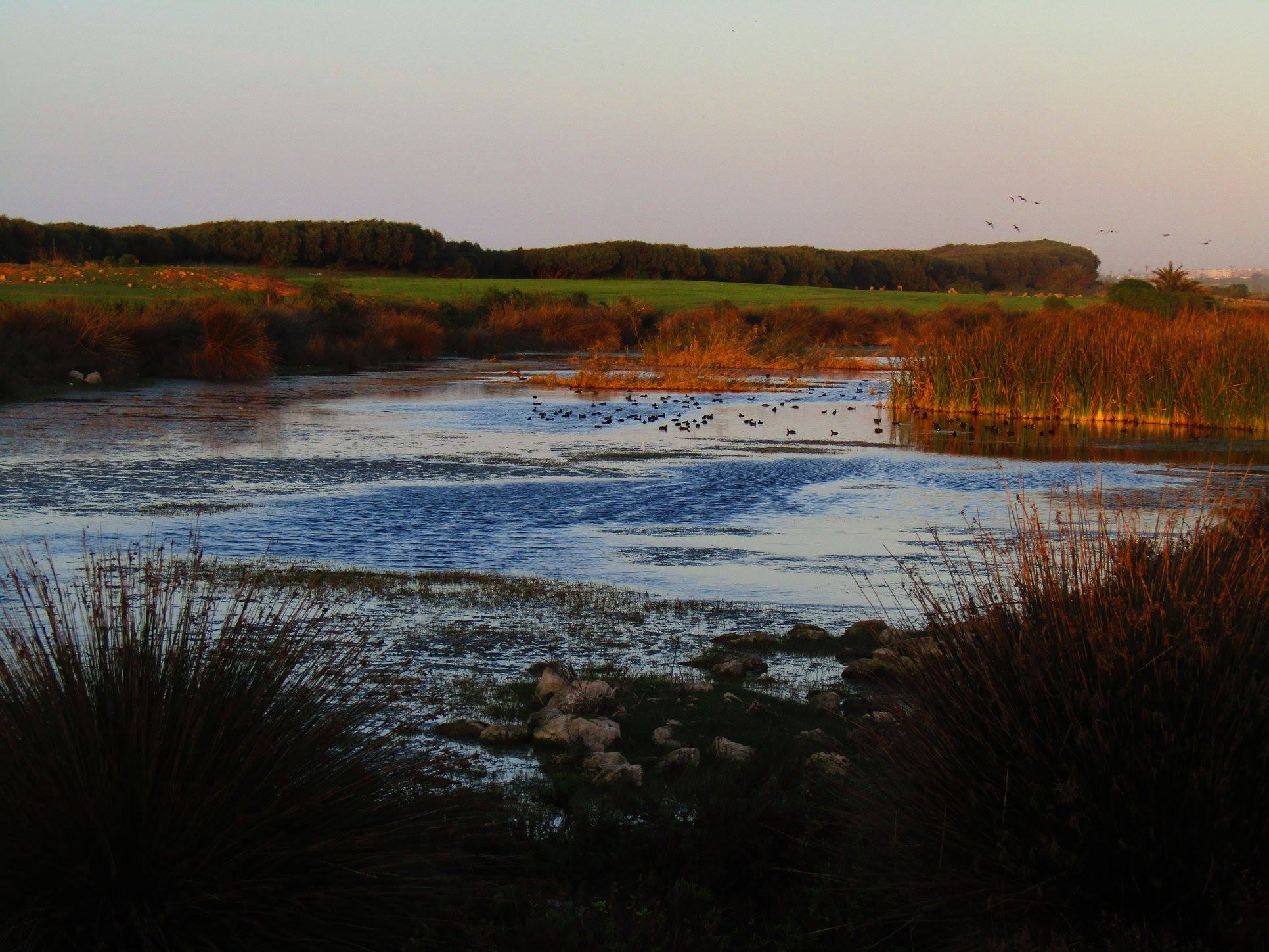 47503512_1014582838733263_5888940675860267008_o