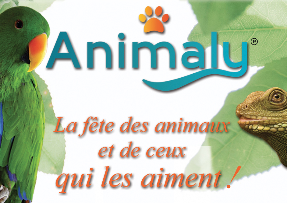 affiche-animaly