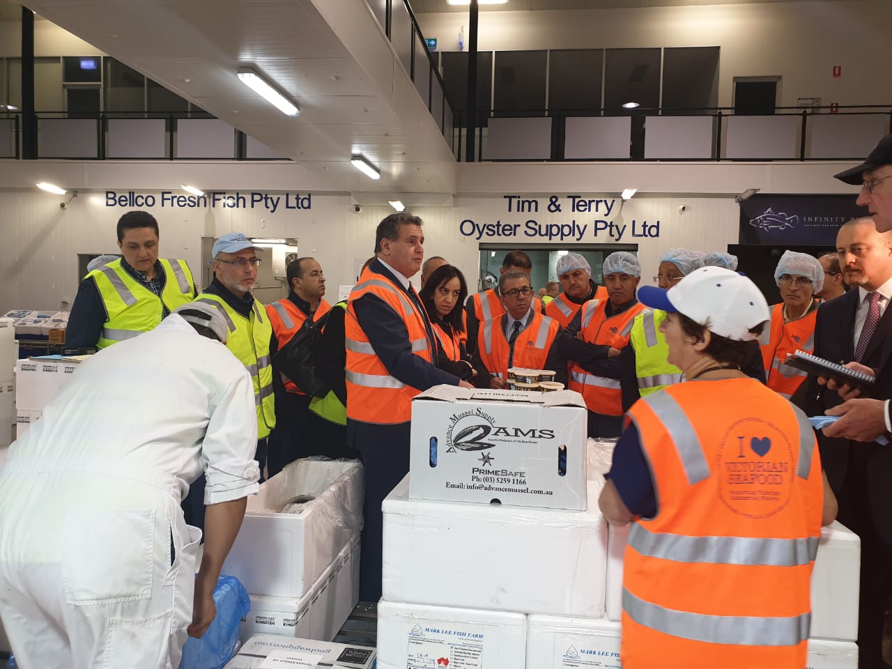 WhatsApp Image 2019-02-04 at 09.19.37