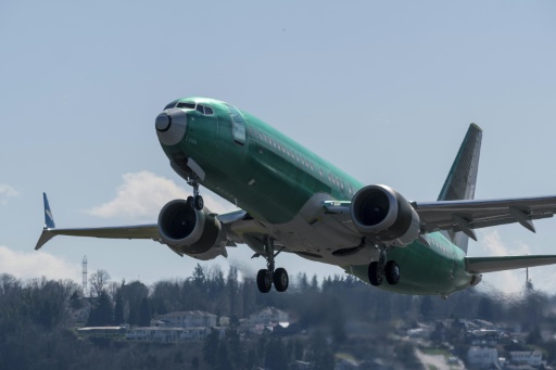 boeing 737 max 8
