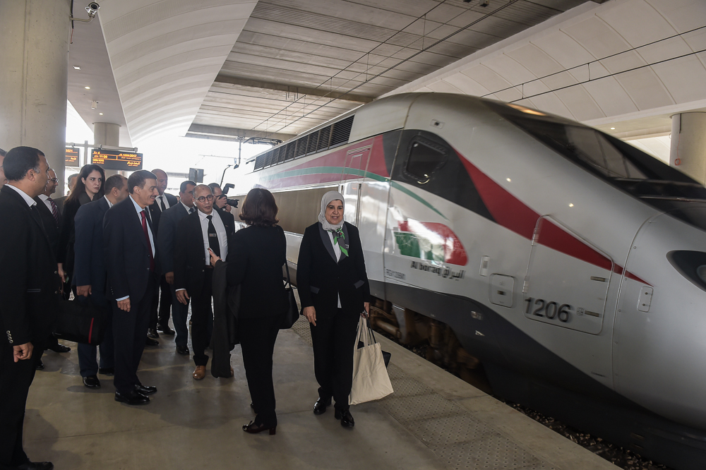 DSC_1863-101 mars 2019