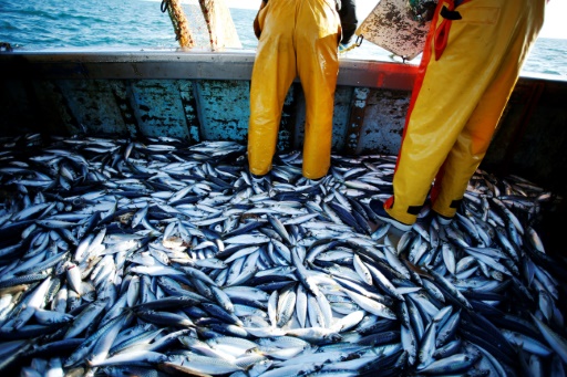 Good performance of coastal fishing at the start of the year