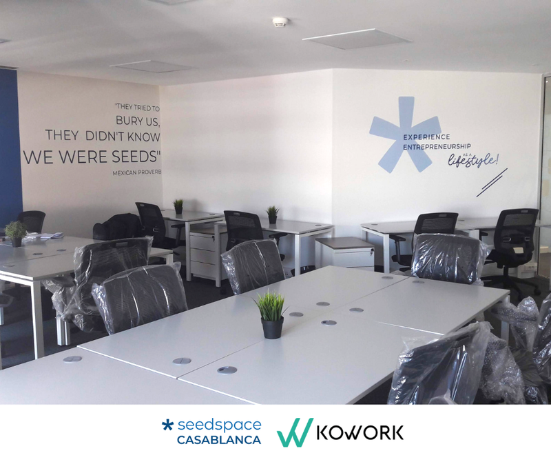 Seedspace_Casablanca_post.width-800