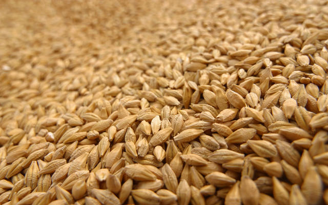 cereales-
