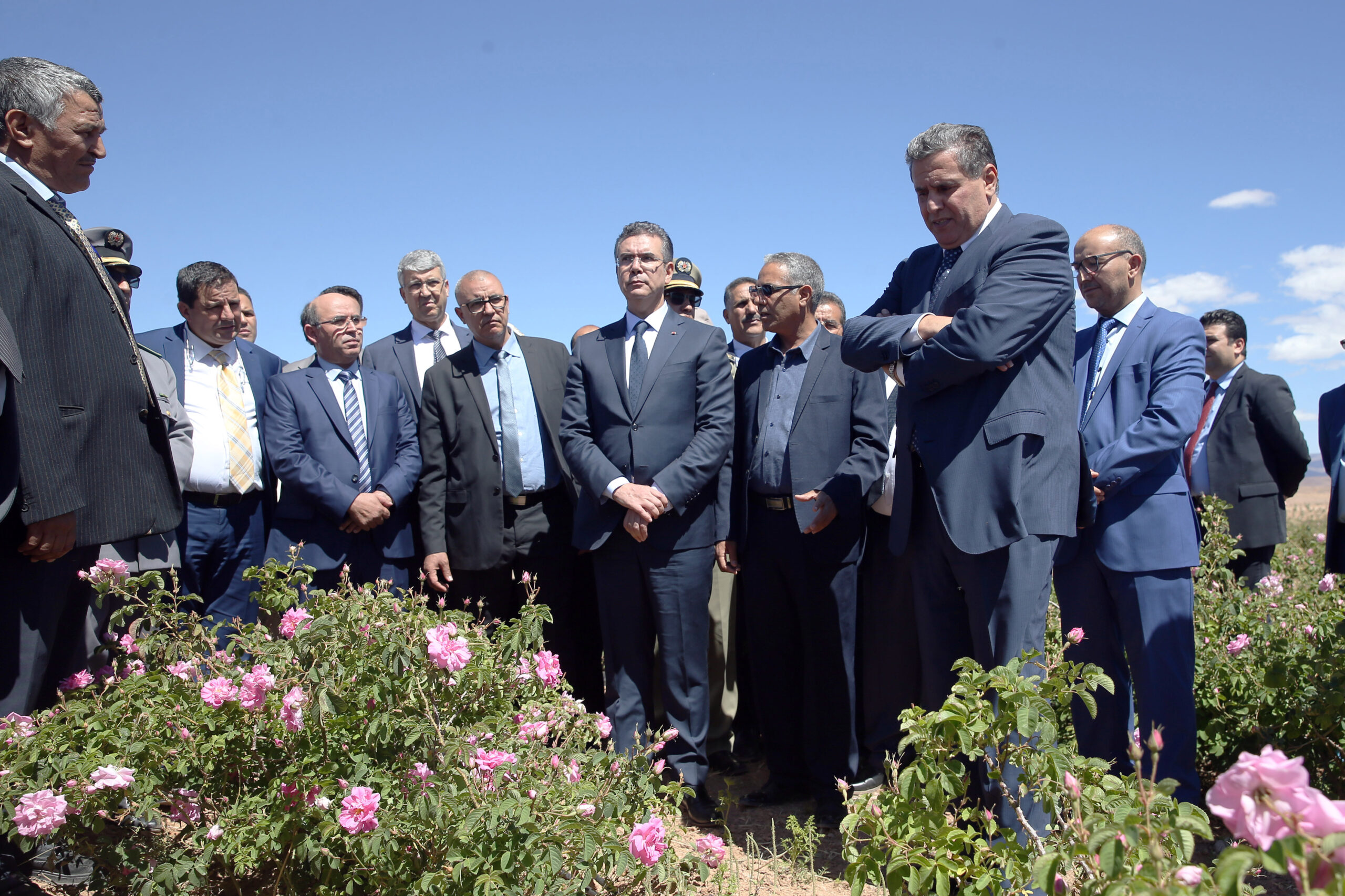 Rose à parfum : Akhannouch visite une coopérative agricole