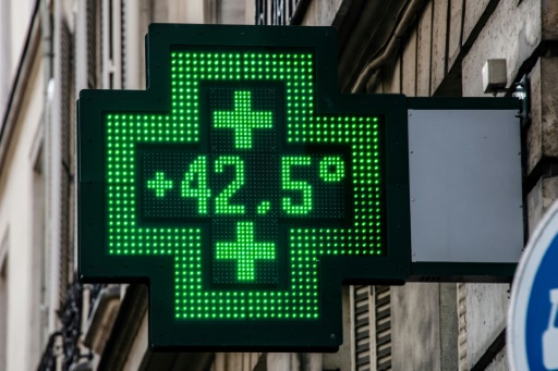 chaleur canicule