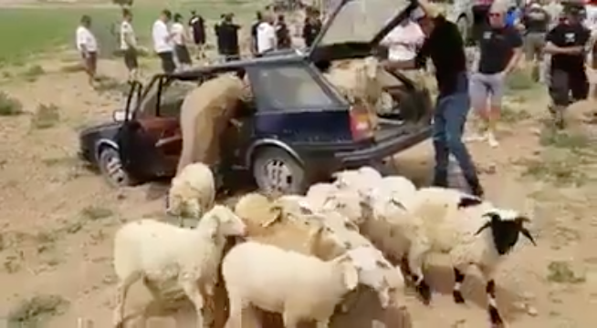 Capture d’écran 2019-08-09 à 12.22.30